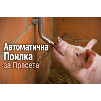 Комплект Тръба с един изхода и Нипелна Поилка за Прасета Комплект Тръба с един изхода и Нипелна Поилка за Прасета